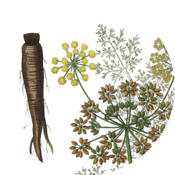 Asafoetida