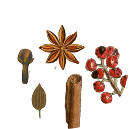 Chinese five spice