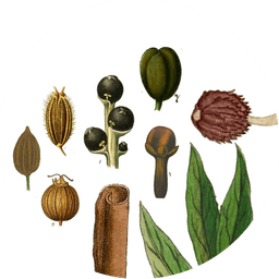 Garam masala