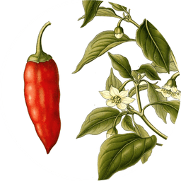 Gochugaru