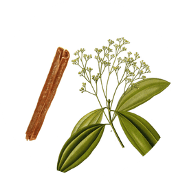 Ground cassia cinnamon