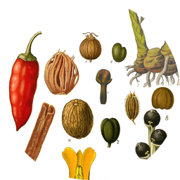 Ras el hanout